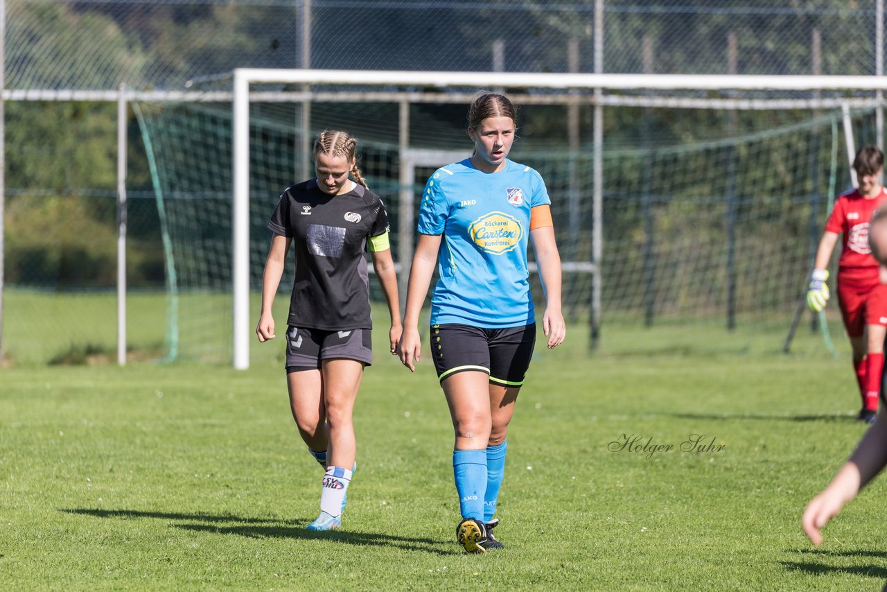 Bild 162 - wBJ SV Henstedt Ulzburg - FSG Oldendorf Itzehoe : Ergebnis: 2:5